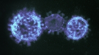 Virus y pandemias
