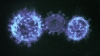 Virus y pandemias