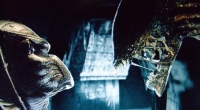 Marines, Aliens, Predators y Rebellion